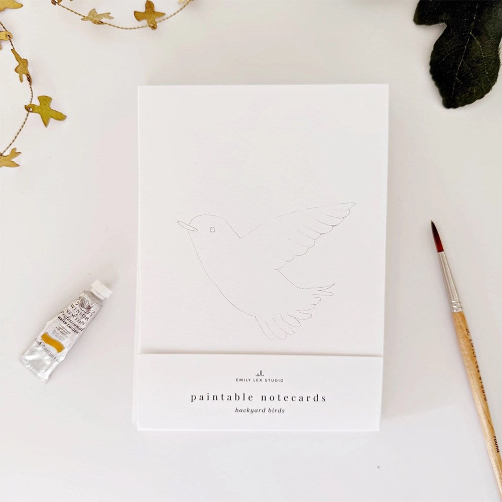 Backyard Birds Paintable Notecards